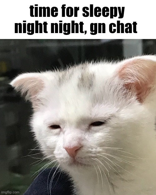 I'm awake, but at what cost? | time for sleepy night night, gn chat | image tagged in i'm awake but at what cost | made w/ Imgflip meme maker