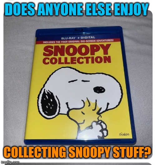 WWI Flying Ace | DOES ANYONE ELSE ENJOY; COLLECTING SNOOPY STUFF? | image tagged in snoopy,peanuts,charlie brown,collection | made w/ Imgflip meme maker