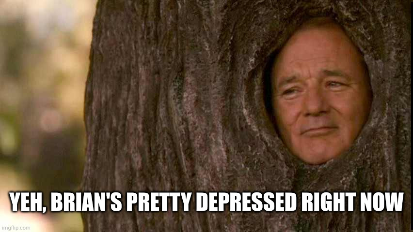 Tree face | YEH, BRIAN'S PRETTY DEPRESSED RIGHT NOW | image tagged in tree face | made w/ Imgflip meme maker