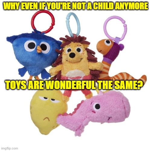 Toys are wonderful! | WHY EVEN IF YOU'RE NOT A CHILD ANYMORE; TOYS ARE WONDERFUL THE SAME? | made w/ Imgflip meme maker