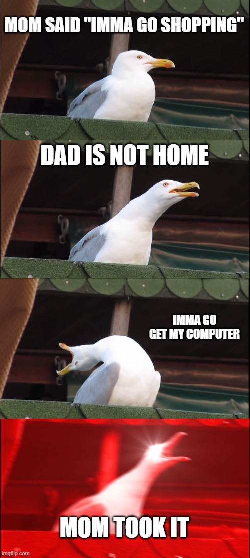 Inhaling Seagull | MOM SAID "IMMA GO SHOPPING"; DAD IS NOT HOME; IMMA GO GET MY COMPUTER; MOM TOOK IT | image tagged in memes,inhaling seagull | made w/ Imgflip meme maker
