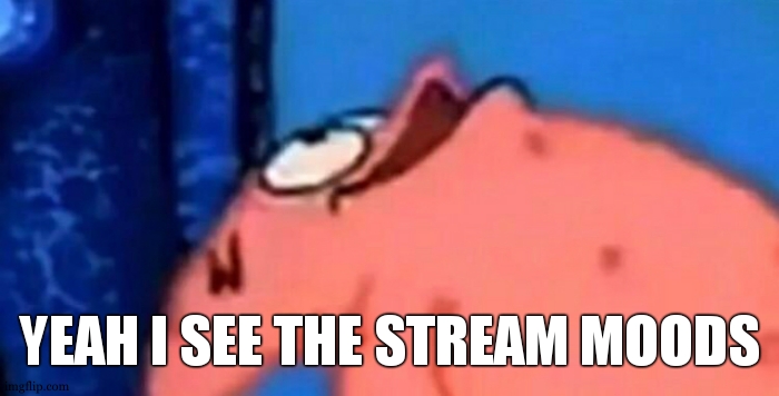 whether they are funny or not is dependant. keep them up | YEAH I SEE THE STREAM MOODS | image tagged in stream mood | made w/ Imgflip meme maker
