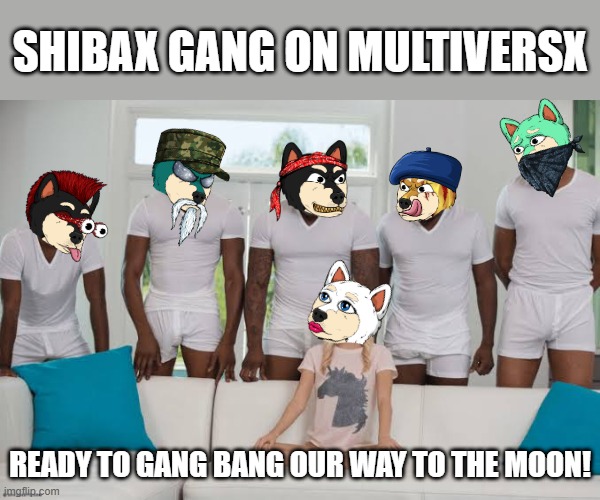 ShibaX Gang Bang on MultiversX | SHIBAX GANG ON MULTIVERSX; READY TO GANG BANG OUR WAY TO THE MOON! | image tagged in one girl five guys | made w/ Imgflip meme maker