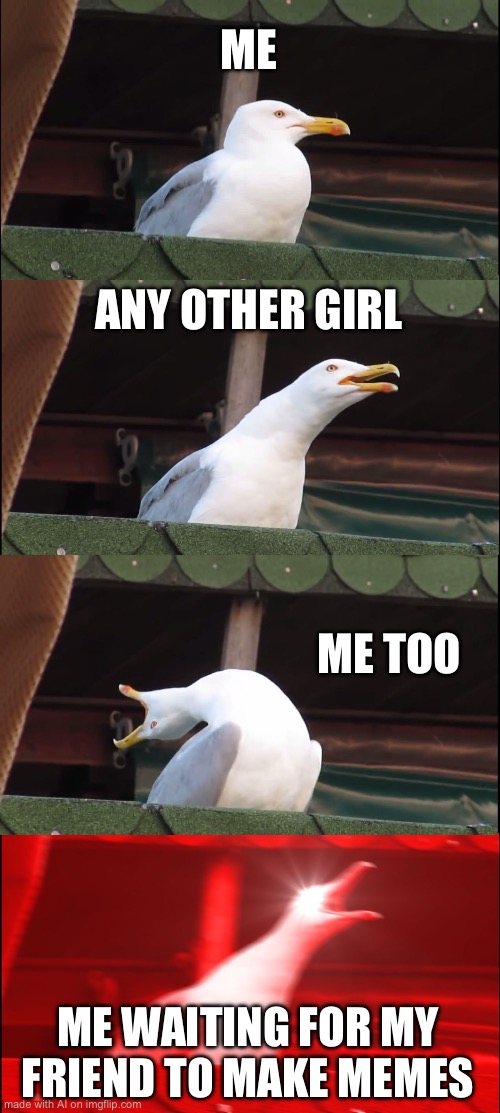 Inhaling Seagull Meme | ME; ANY OTHER GIRL; ME TOO; ME WAITING FOR MY FRIEND TO MAKE MEMES | image tagged in memes,inhaling seagull | made w/ Imgflip meme maker