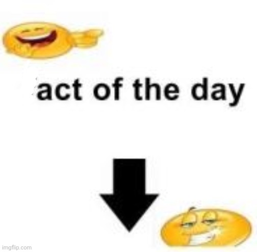 Fact of the day | image tagged in fact of the day | made w/ Imgflip meme maker