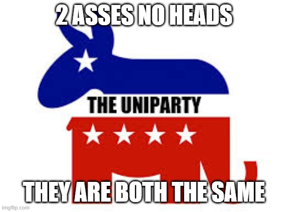 The two faces of the same head | 2 ASSES NO HEADS THEY ARE BOTH THE SAME | image tagged in democrats,republicans,they are the same picture,liberal,conservative,make america great again | made w/ Imgflip meme maker