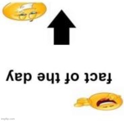 lemme see | image tagged in fact of the day | made w/ Imgflip meme maker