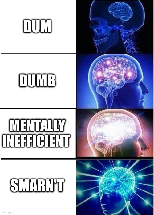 Expanding Brain Meme | DUM; DUMB; MENTALLY INEFFICIENT; SMARN'T | image tagged in memes,expanding brain | made w/ Imgflip meme maker