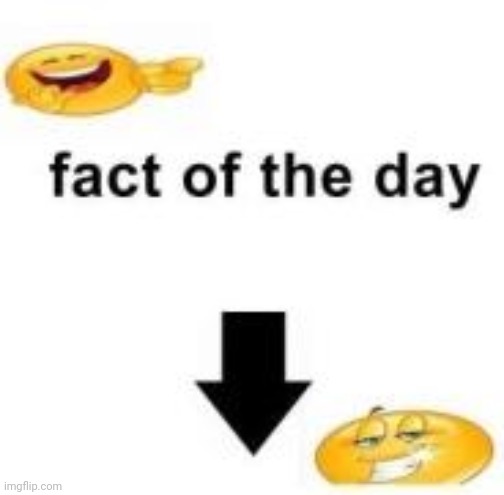 Fact of the day | image tagged in fact of the day | made w/ Imgflip meme maker