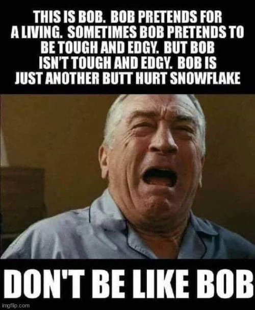 Bob has a lot of alts... | image tagged in do no be like bob | made w/ Imgflip meme maker