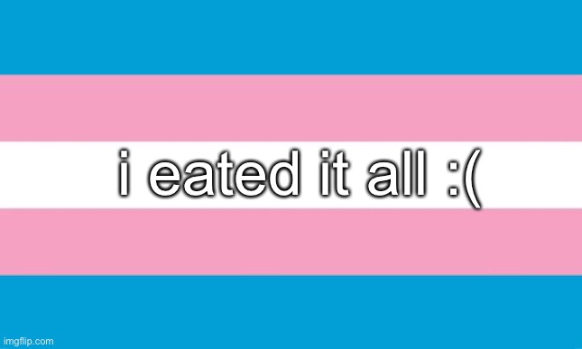 Transgender Flag | i eated it all :( | image tagged in transgender flag | made w/ Imgflip meme maker