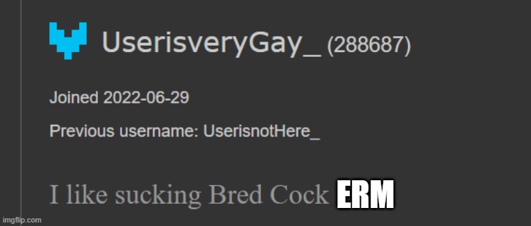 ERM | made w/ Imgflip meme maker