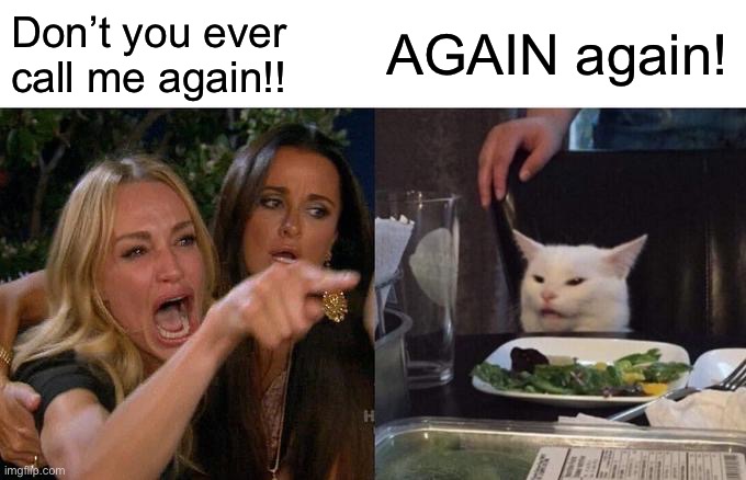 Woman Yelling At Cat Meme | Don’t you ever call me again!! AGAIN again! | image tagged in memes,woman yelling at cat | made w/ Imgflip meme maker