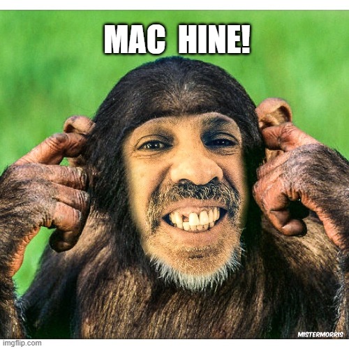 Baba Booey Mac hine monkey | MAC  HINE! | image tagged in baba booey,howard stern | made w/ Imgflip meme maker