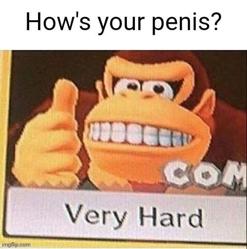 How’s life | How's your penis? | image tagged in how s life | made w/ Imgflip meme maker