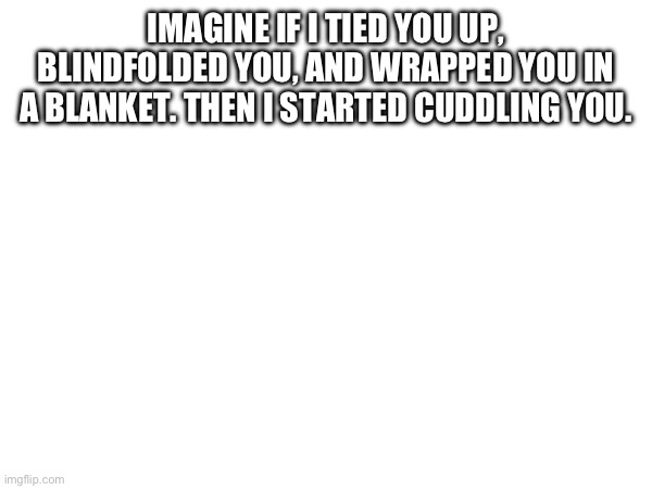 IMAGINE IF I TIED YOU UP, BLINDFOLDED YOU, AND WRAPPED YOU IN A BLANKET. THEN I STARTED CUDDLING YOU. | made w/ Imgflip meme maker