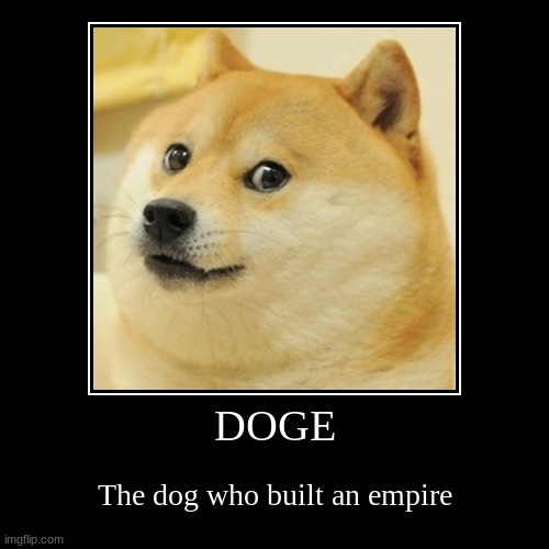 DOGE | The dog who built an empire | image tagged in funny,demotivationals | made w/ Imgflip demotivational maker