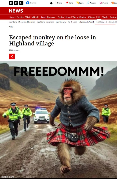 image tagged in memes,scotland,escaped monkey,zoo escape,bizarre news story | made w/ Imgflip meme maker