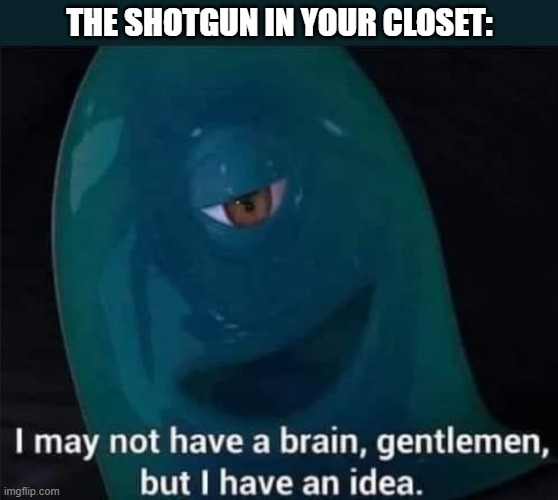 I May Not Have A Brain | THE SHOTGUN IN YOUR CLOSET: | image tagged in i may not have a brain | made w/ Imgflip meme maker