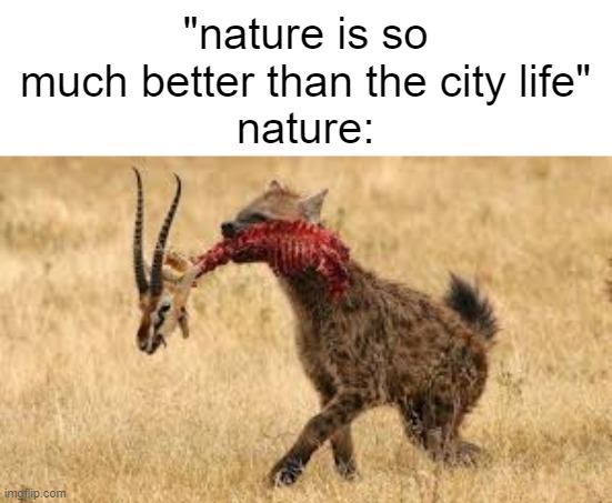 "i wish..." | "nature is so much better than the city life"
nature: | image tagged in idk | made w/ Imgflip meme maker