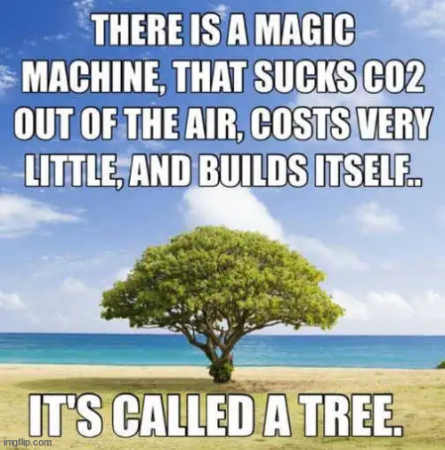 Breaking News... Magic machine discovered... ending climate change hoax... | image tagged in climate change,hoax,magic machine called trees,fixes co2 scare | made w/ Imgflip meme maker