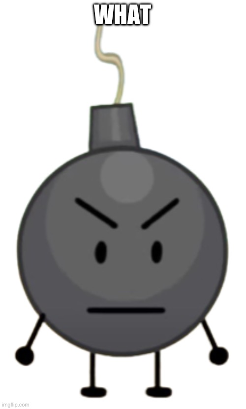 Front facing Bomby | WHAT | image tagged in front facing bomby | made w/ Imgflip meme maker