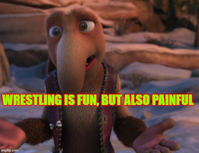 but not painful like life | WRESTLING IS FUN, BUT ALSO PAINFUL | made w/ Imgflip meme maker