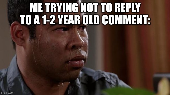 sweating bullets | ME TRYING NOT TO REPLY TO A 1-2 YEAR OLD COMMENT: | image tagged in sweating bullets,reply,don't do it,impossible | made w/ Imgflip meme maker