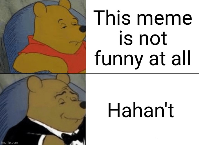 E | This meme is not funny at all; Hahan't | image tagged in memes,tuxedo winnie the pooh,funny,haha,funny memes | made w/ Imgflip meme maker