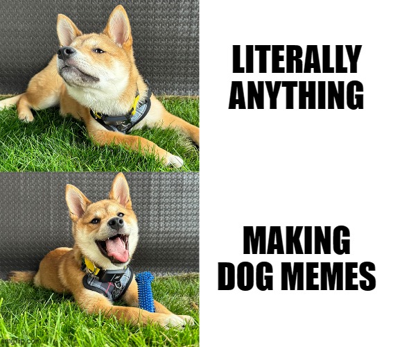 Dog don't want | LITERALLY ANYTHING; MAKING DOG MEMES | image tagged in dog don't want | made w/ Imgflip meme maker