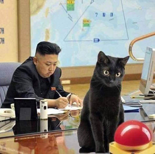 High Quality Cat Stares at Red Button, Nuclear Bombs Blank Meme Template