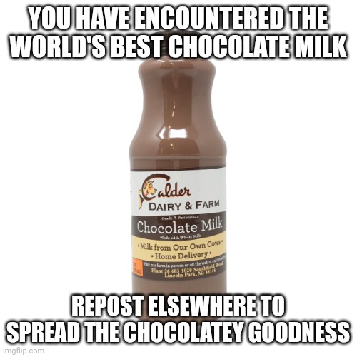 Calder Dairy & Farm Chocolate Milk | YOU HAVE ENCOUNTERED THE WORLD'S BEST CHOCOLATE MILK; REPOST ELSEWHERE TO SPREAD THE CHOCOLATEY GOODNESS | image tagged in calder dairy farm chocolate milk,choccy milk,chocolate milk,chocky milk | made w/ Imgflip meme maker
