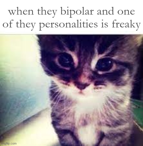 when they bipolar and one of they personalities is freaky | made w/ Imgflip meme maker