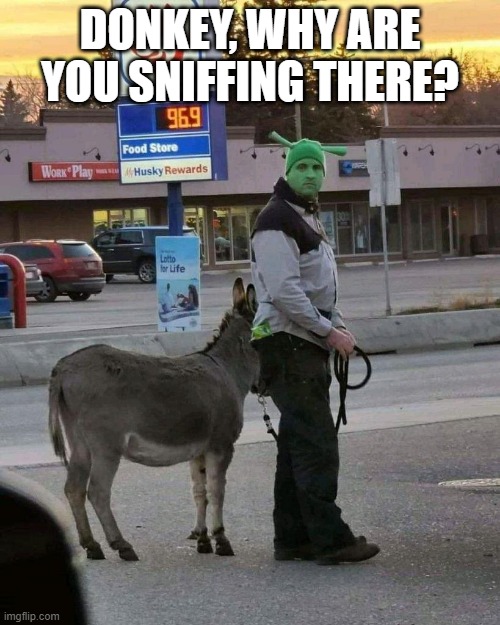 Donkey | DONKEY, WHY ARE YOU SNIFFING THERE? | image tagged in unsee juice | made w/ Imgflip meme maker