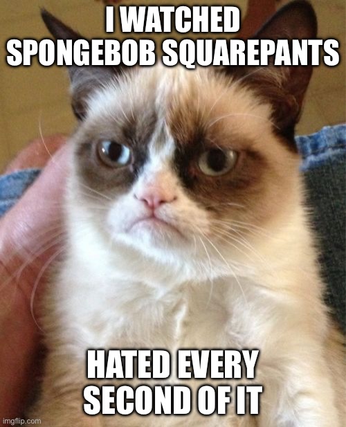 Grumpy Cat’s reaction to SpongeBob SquarePants | I WATCHED SPONGEBOB SQUAREPANTS; HATED EVERY SECOND OF IT | image tagged in grumpy cat,memes | made w/ Imgflip meme maker