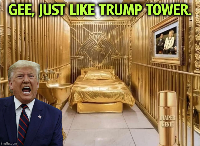 There are two tiers of justice in this country. Trump is in the upper tier. If anybody else threw those tantrums, jail time. | GEE, JUST LIKE TRUMP TOWER. | image tagged in trump,tantrum,jail,prison,cell,gold | made w/ Imgflip meme maker