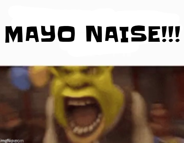 YOU ARE A KING GG !! | MAYO NAISE!!! | image tagged in you are a king gg | made w/ Imgflip meme maker