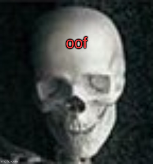 Skull | oof | image tagged in skull | made w/ Imgflip meme maker