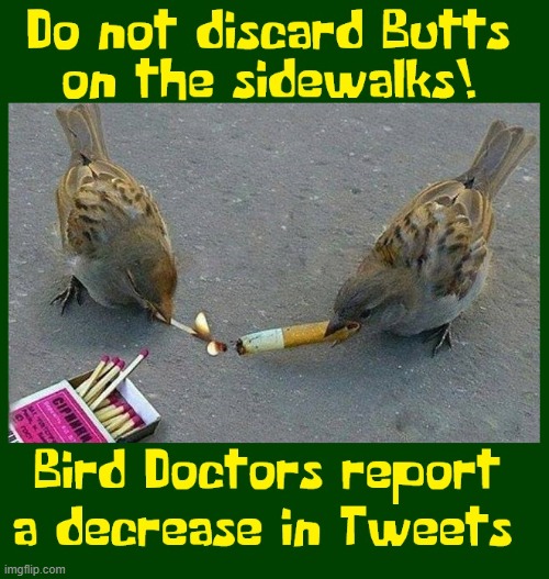 Let's all sing like the Birdies sing: Tweet (cough) Tweet (cough) | image tagged in vince vance,memes,birds,smoking,cigarettes,matches | made w/ Imgflip meme maker