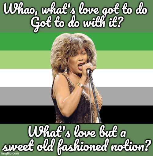 This is a classic. | Whao, what's love got to do 
Got to do with it? What's love but a sweet old fashioned notion? | image tagged in aromantic flag,tina turner,song lyrics,lgbt | made w/ Imgflip meme maker