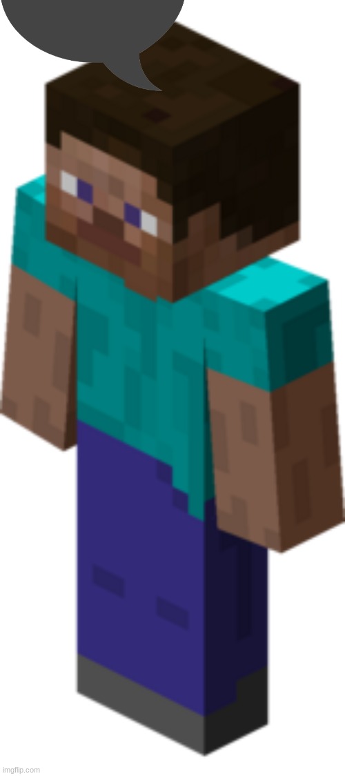 Minecraft Steve | image tagged in minecraft steve | made w/ Imgflip meme maker