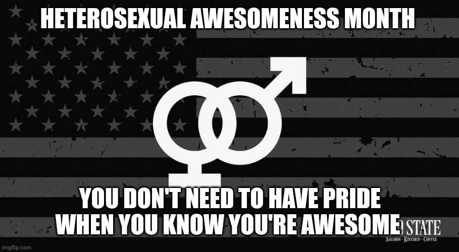 heterosexual awesomeness month | HETEROSEXUAL AWESOMENESS MONTH; YOU DON'T NEED TO HAVE PRIDE WHEN YOU KNOW YOU'RE AWESOME | image tagged in straight | made w/ Imgflip meme maker