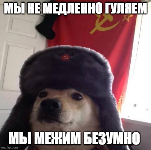Russian Doge | МЫ НЕ МЕДЛЕННО ГУЛЯЕМ МЫ МЕЖИМ БЕЗУМНО | image tagged in russian doge | made w/ Imgflip meme maker