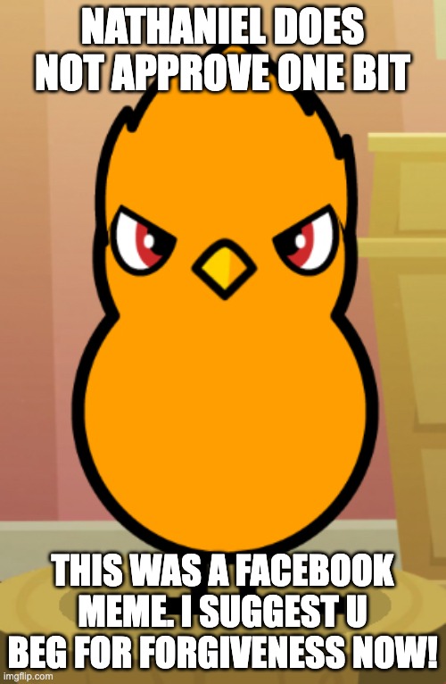 Nathaniel the duck! | NATHANIEL DOES NOT APPROVE ONE BIT THIS WAS A FACEBOOK MEME. I SUGGEST U BEG FOR FORGIVENESS NOW! | image tagged in nathaniel the duck | made w/ Imgflip meme maker