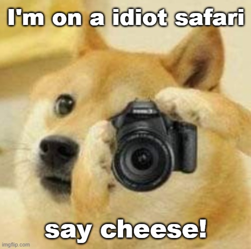 Hello! | I'm on a idiot safari; say cheese! | image tagged in doge taking a picture,funny memes | made w/ Imgflip meme maker