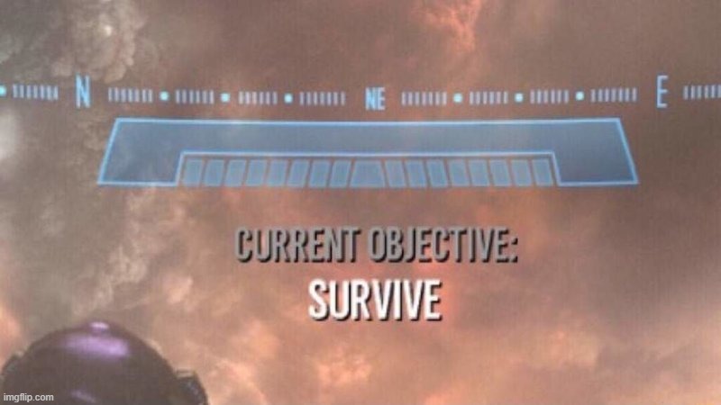 Current Objective: Survive | image tagged in current objective survive | made w/ Imgflip meme maker