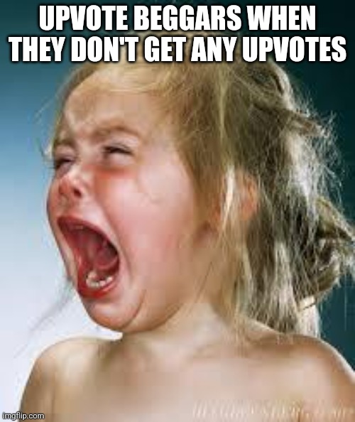 Crying Baby | UPVOTE BEGGARS WHEN THEY DON'T GET ANY UPVOTES | image tagged in crying baby,upvote beggars | made w/ Imgflip meme maker