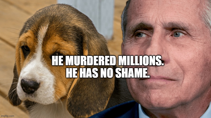 Fauci's Ouchie | HE MURDERED MILLIONS.  HE HAS NO SHAME. | image tagged in fauci's ouchie | made w/ Imgflip meme maker