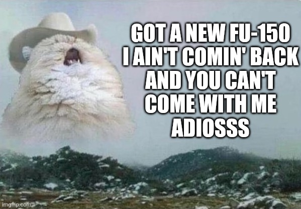 Tanner Adell Cat | GOT A NEW FU-150
I AIN'T COMIN' BACK
AND YOU CAN'T
COME WITH ME
ADIOSSS | image tagged in country cat | made w/ Imgflip meme maker