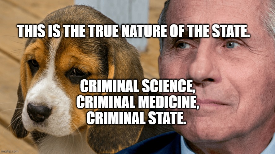 Fauci's Ouchie | THIS IS THE TRUE NATURE OF THE STATE. CRIMINAL SCIENCE, CRIMINAL MEDICINE, CRIMINAL STATE. | image tagged in fauci's ouchie | made w/ Imgflip meme maker